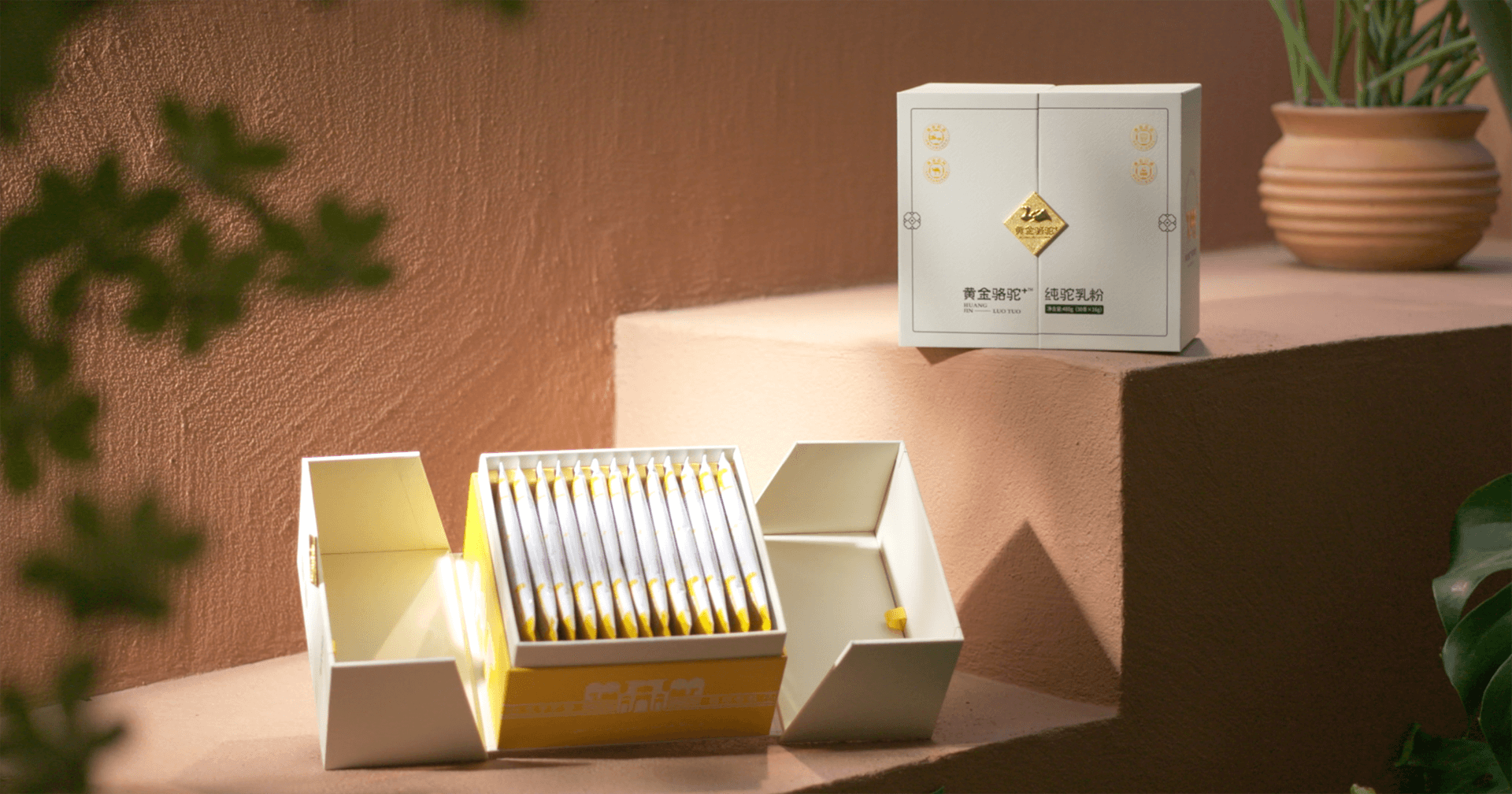定位小众高端乳粉，尊龙凯时推出驼奶品牌“黄金骆驼+”，角逐乳品新市场！